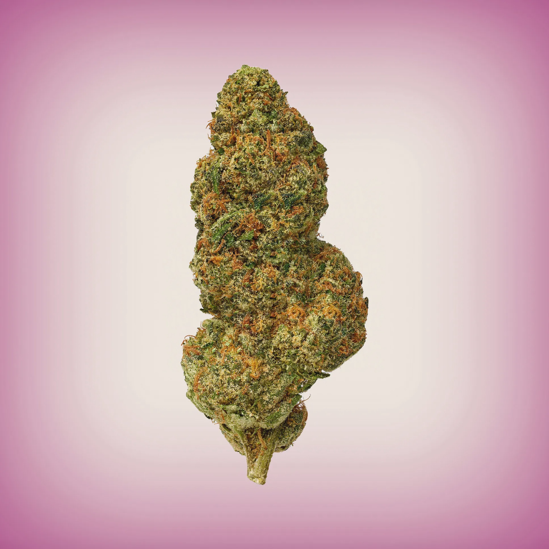 MOOD THCA Flower Top Shelf 8th / Cupid's Kush Indica Hybrid